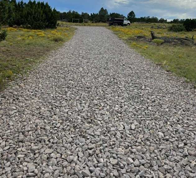 A gravel road leads to a parked truck in a grassy area with scattered yellow flowers and trees.